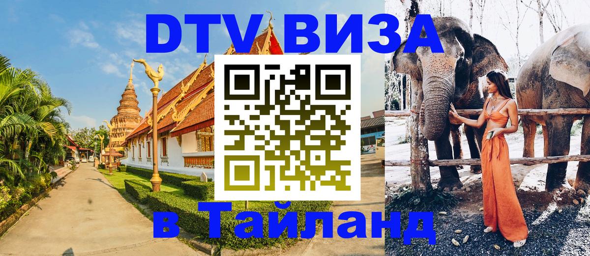 Сколько стоит DTV виза — актуальные цены, оформление даже без документов - Реутов 